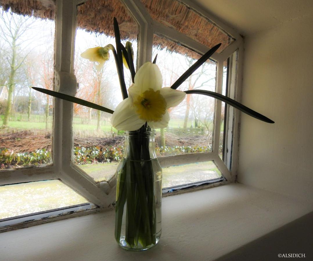 The Wee White Hoose Bed and Breakfast Oosternijkerk Εξωτερικό φωτογραφία