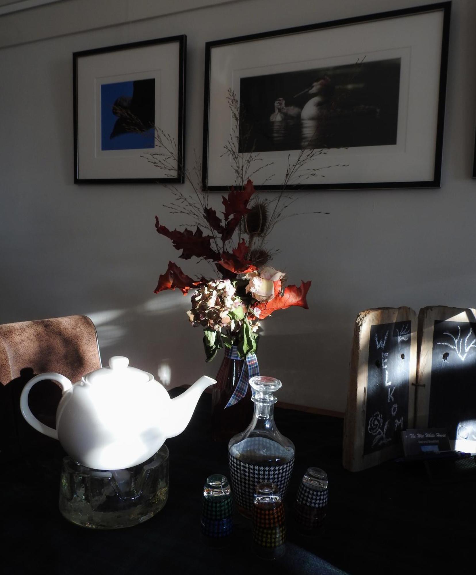 The Wee White Hoose Bed and Breakfast Oosternijkerk Εξωτερικό φωτογραφία
