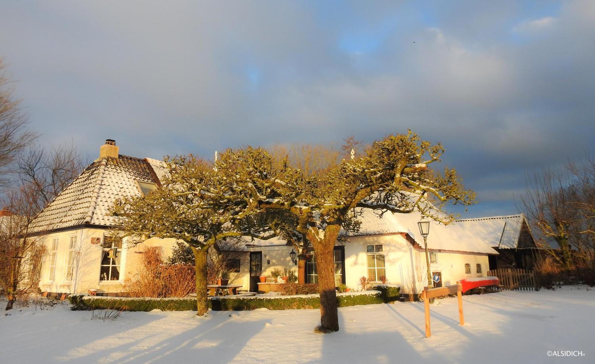 The Wee White Hoose Bed and Breakfast Oosternijkerk Εξωτερικό φωτογραφία
