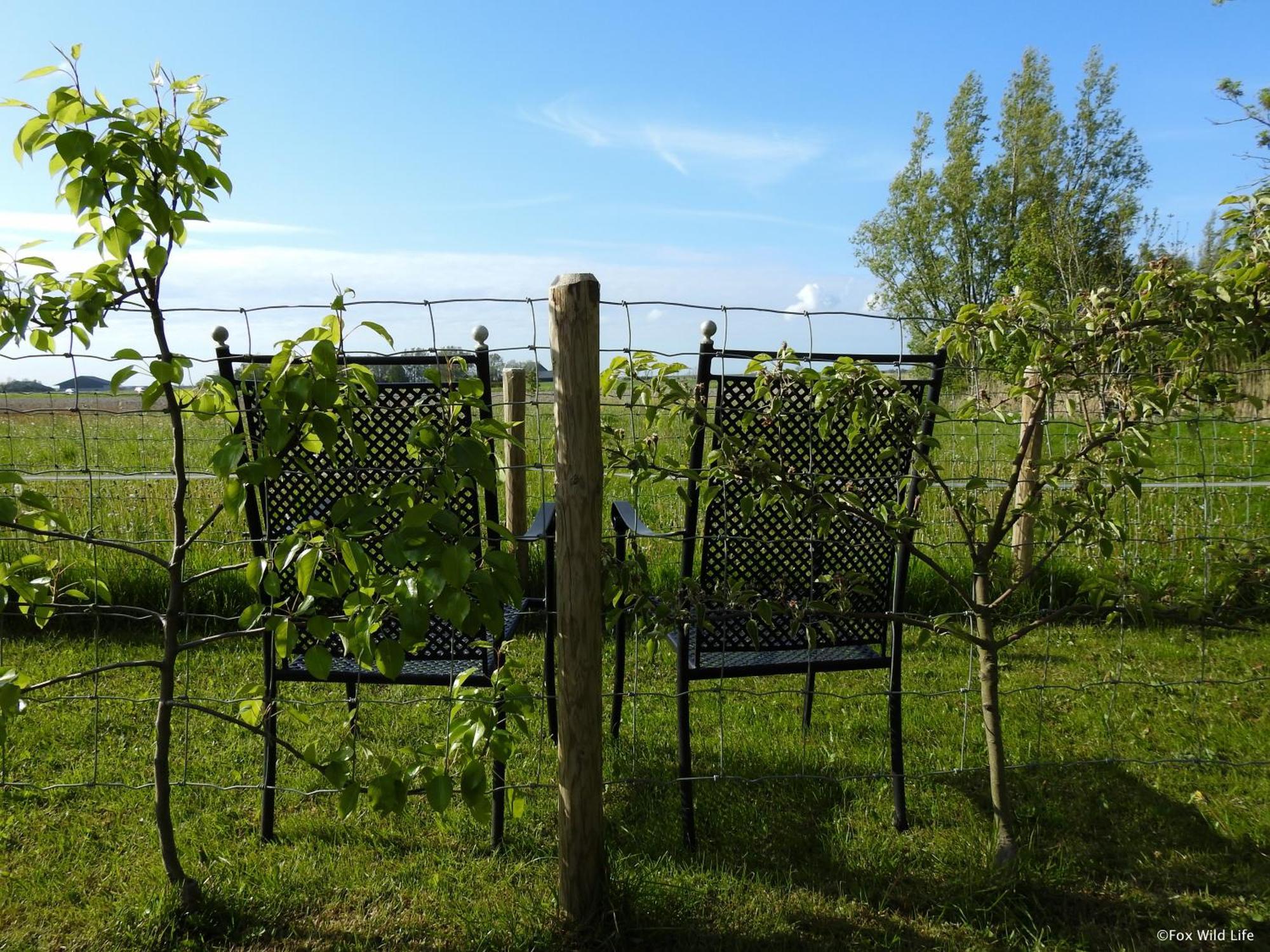 The Wee White Hoose Bed and Breakfast Oosternijkerk Εξωτερικό φωτογραφία